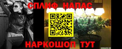 прущий лед Будённовск