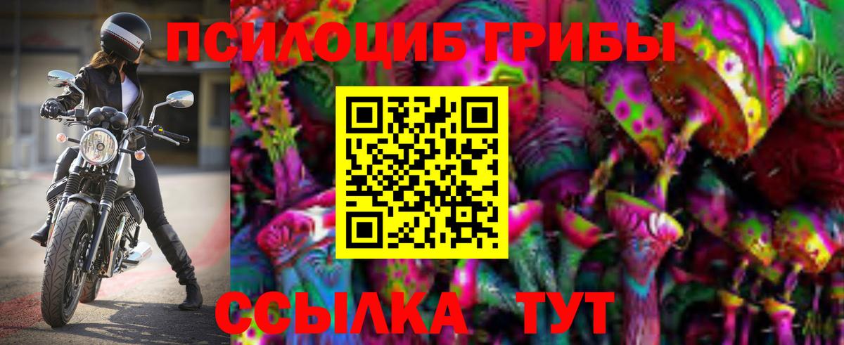 Псилоцибиновые грибы Psilocybine cubensis  Галлюциногенные грибы мухоморы  Азов  Вход с VPN 